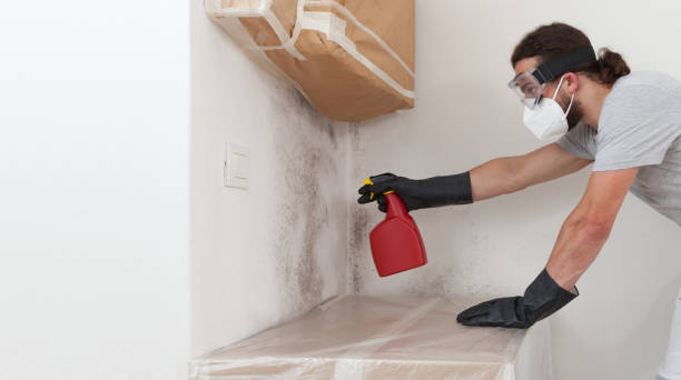 Professional Mold Testing technician working in Island Park, NY